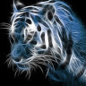 Meet your Posher, Zach